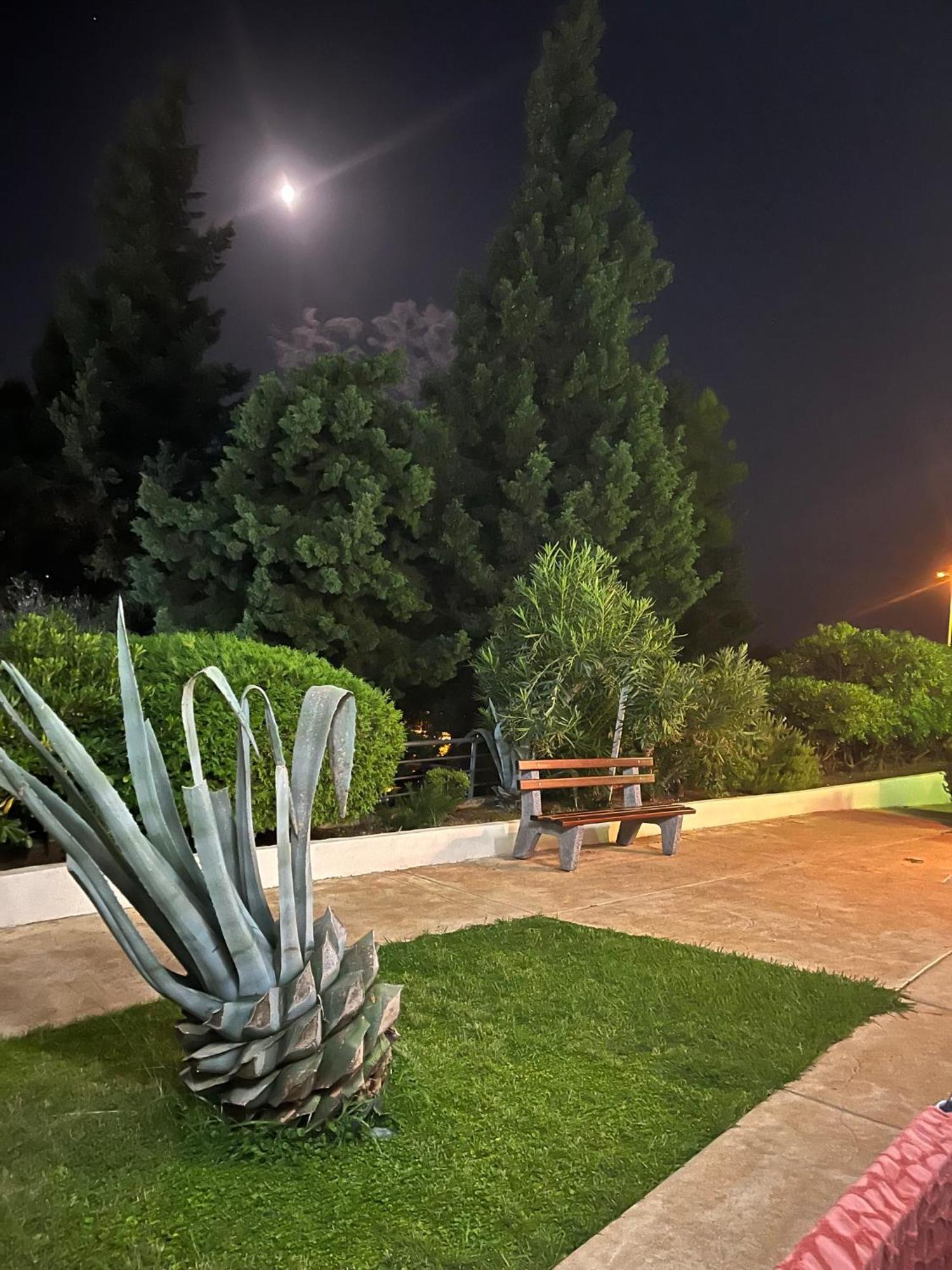 Adriatic Apartman Bečići Εξωτερικό φωτογραφία